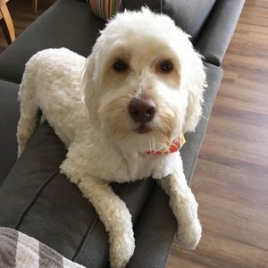 Meet your Posher, Liz